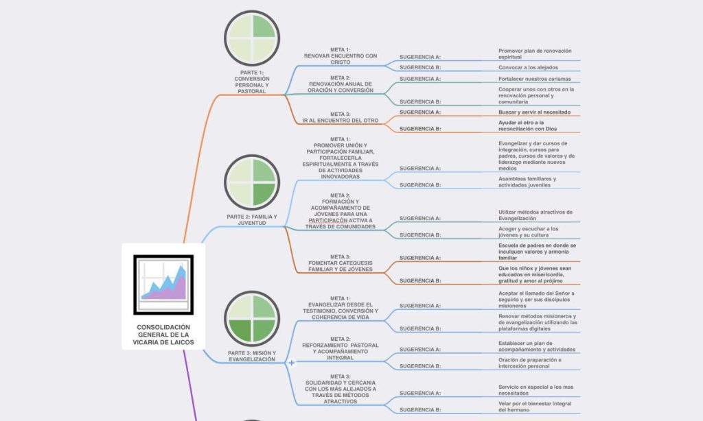 Resultados consolidados de la Vicaria Carlo Acutis – Agosto 2024